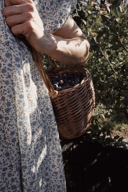 Olivia Dress (liberty)