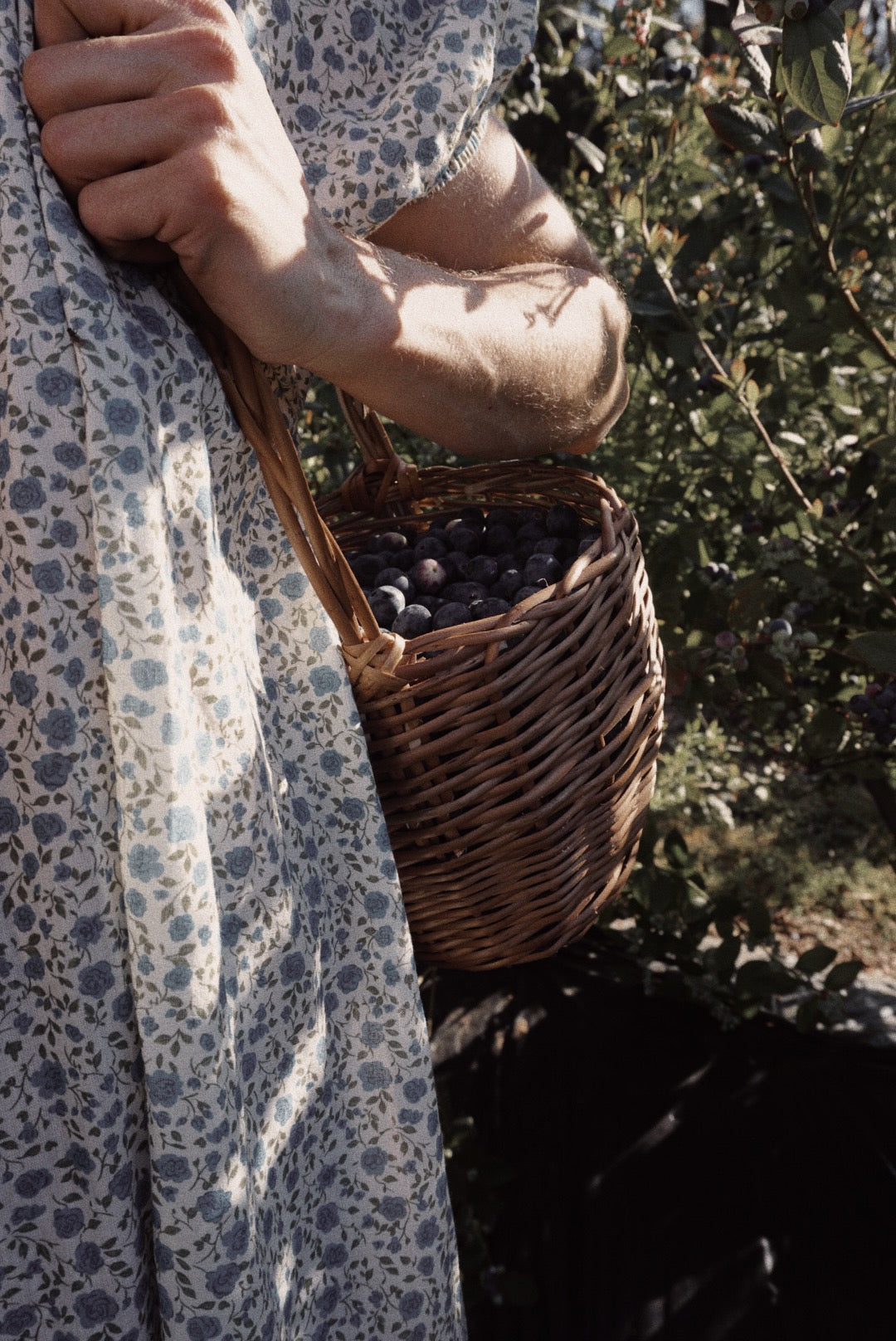 Olivia Dress (liberty)