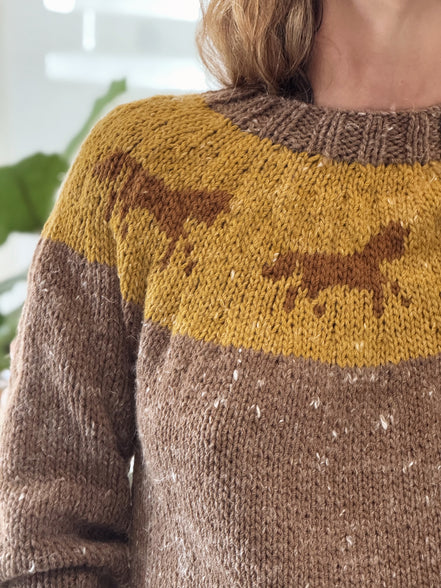 Horses sweater