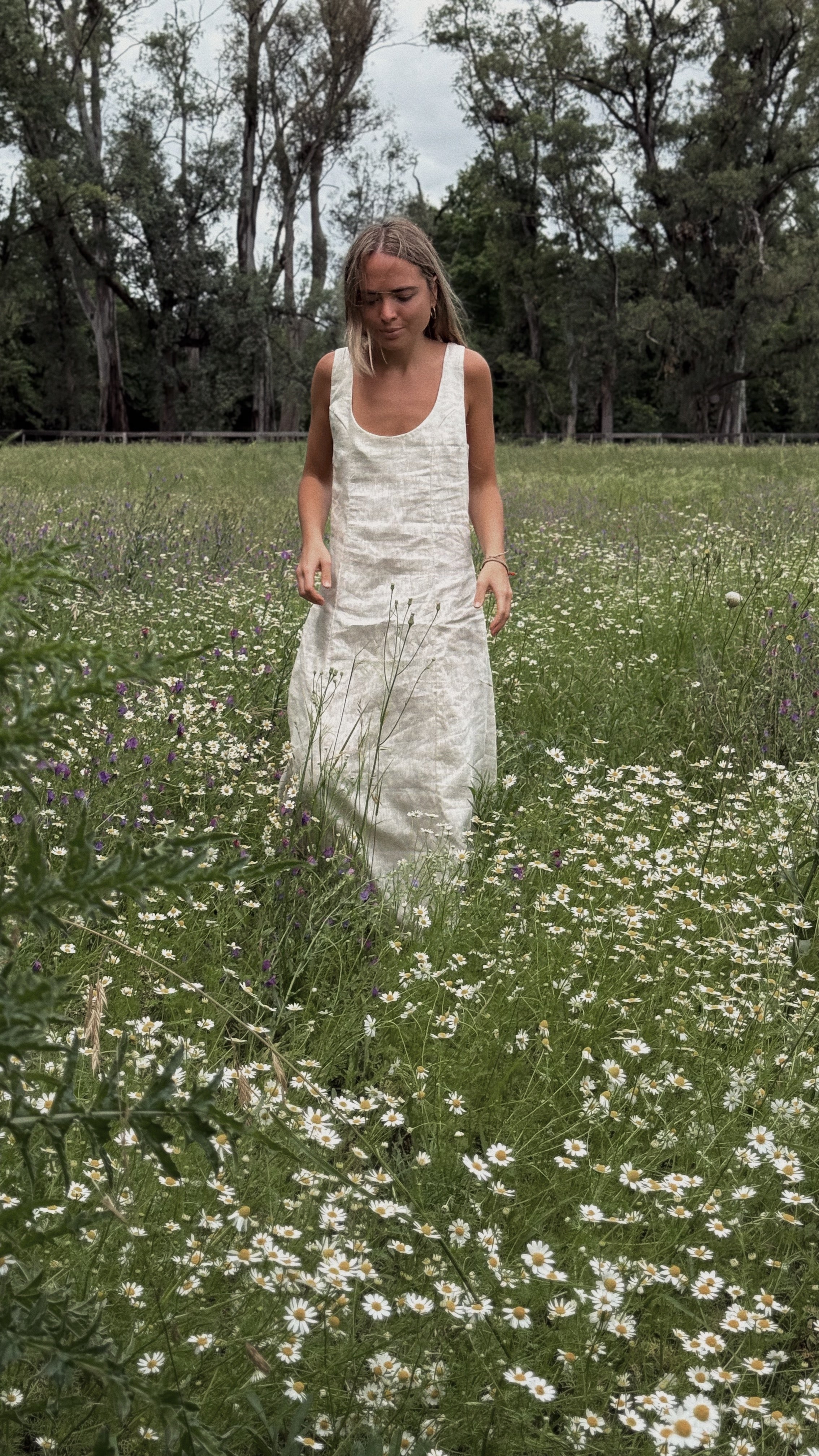 Isabel dress (crudo)