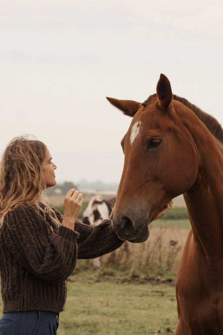 PRE ORDER Tordilla Cardigan