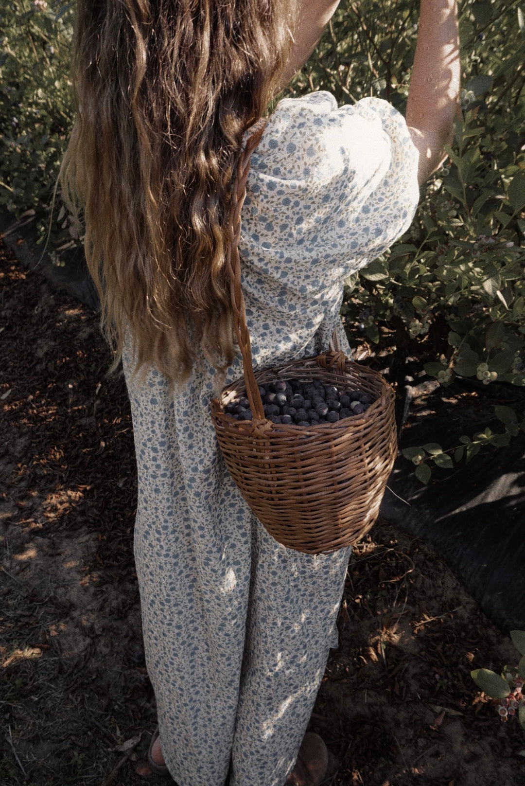 Olivia Dress (liberty)