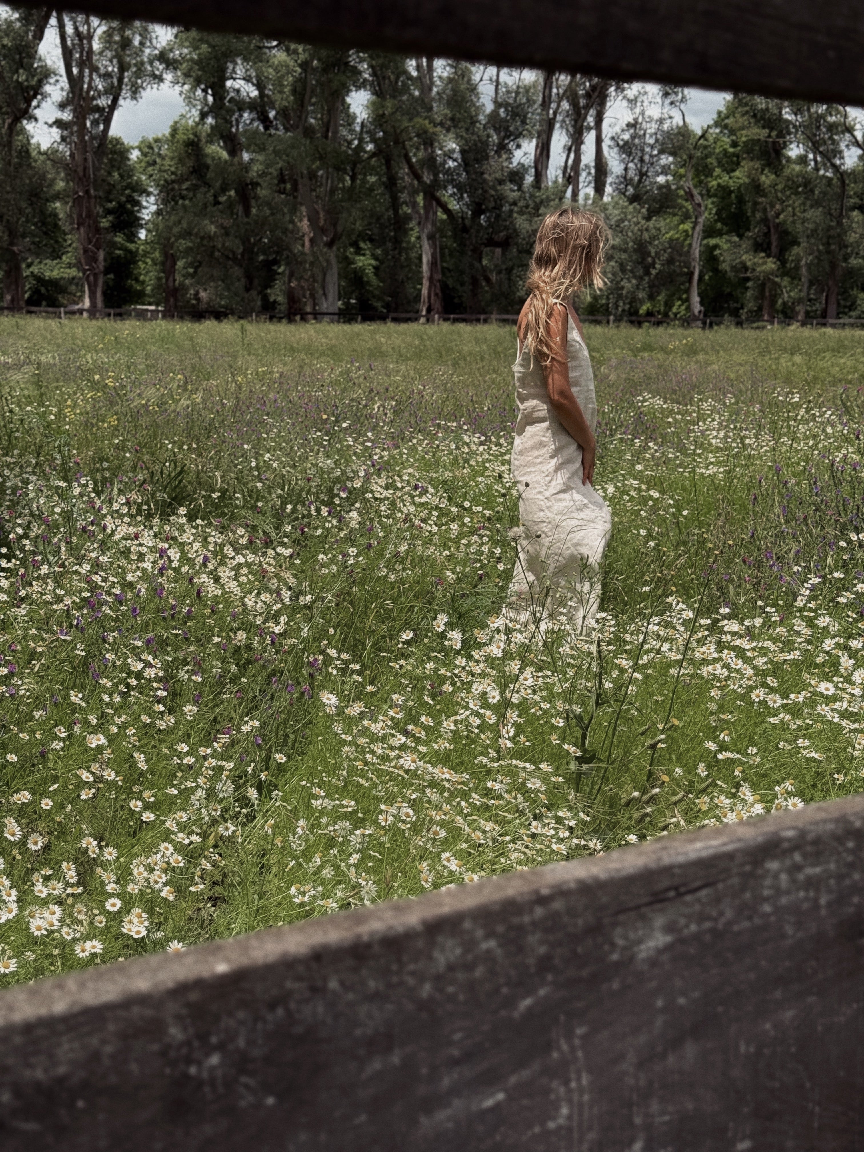 Isabel dress (crudo)