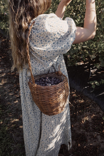 Olivia Dress (liberty)
