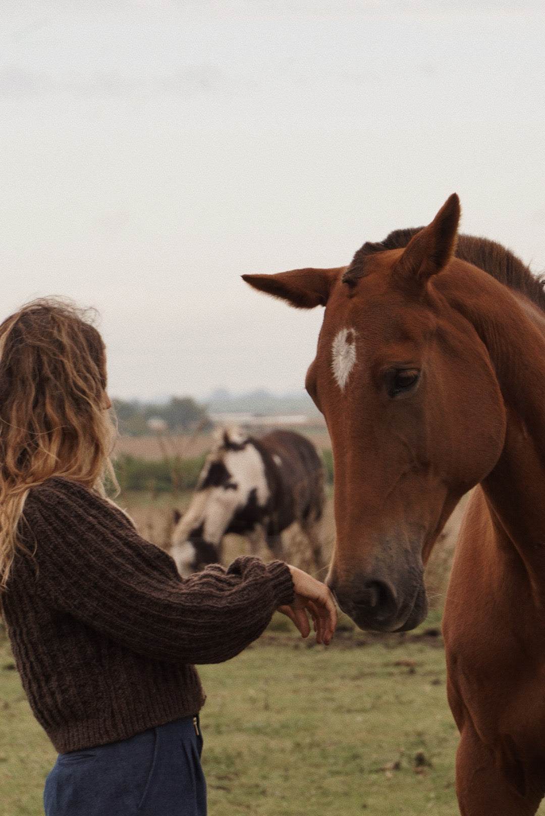 PRE ORDER Tordilla Cardigan
