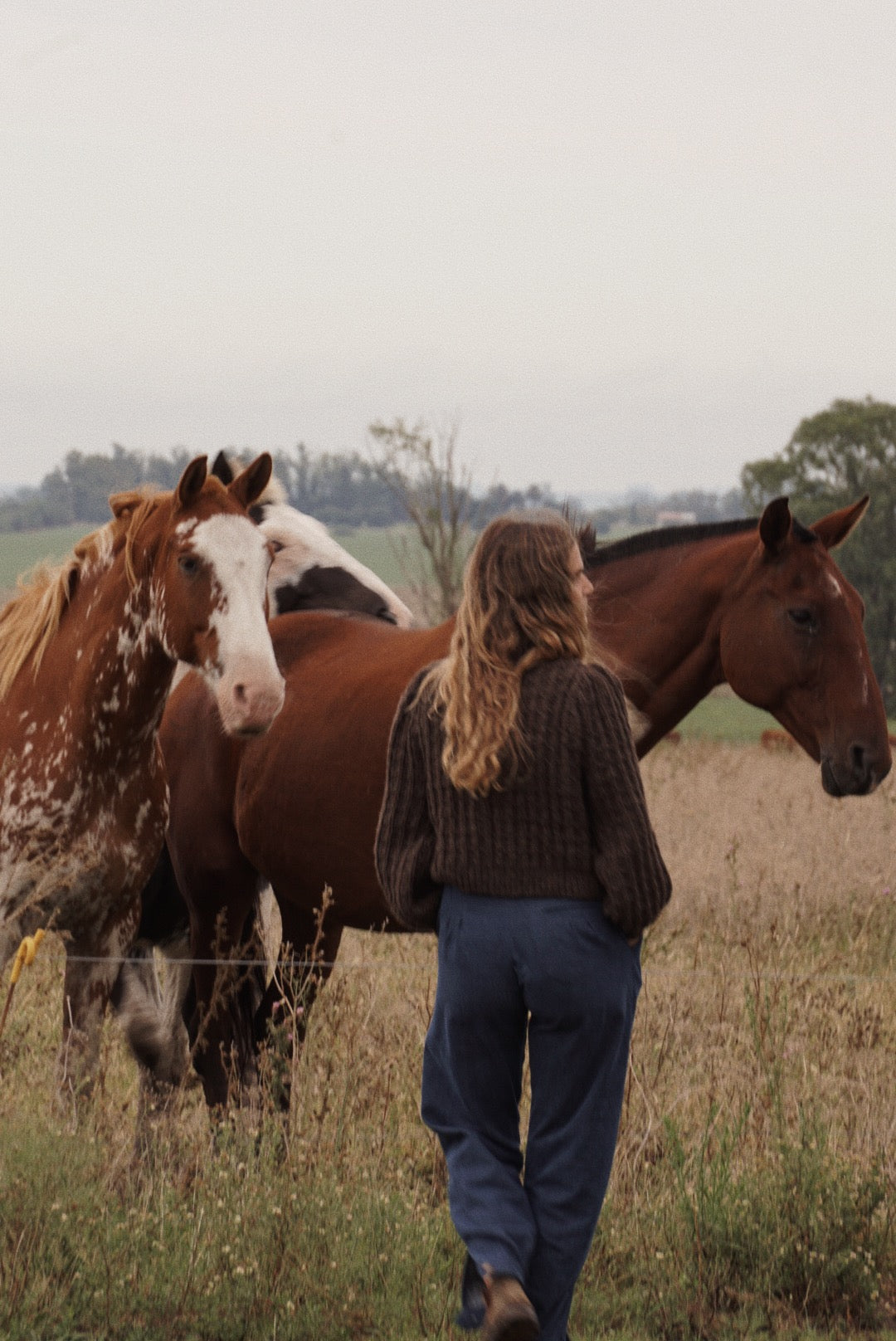 PRE ORDER Tordilla Cardigan