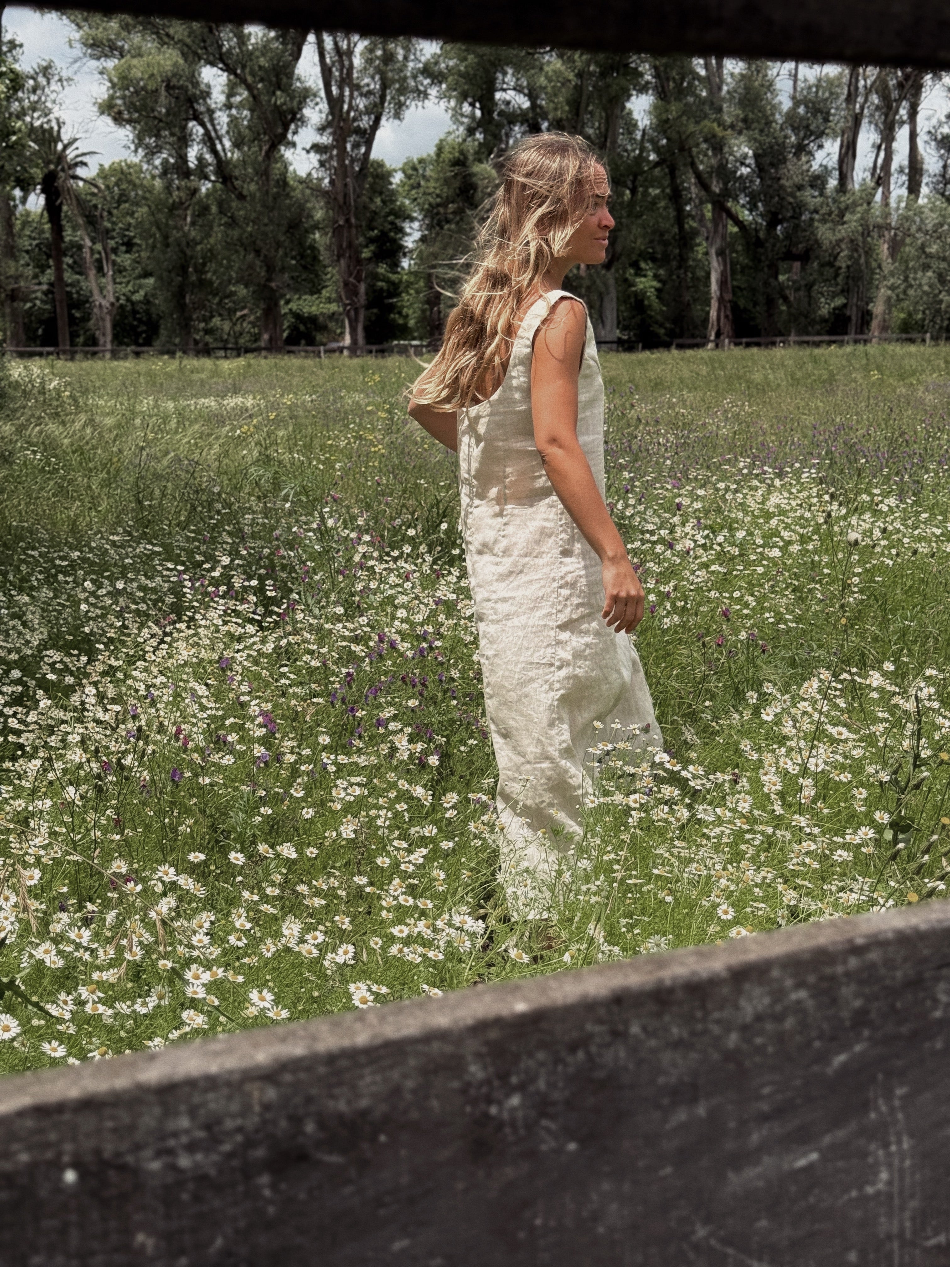 Isabel dress (crudo)