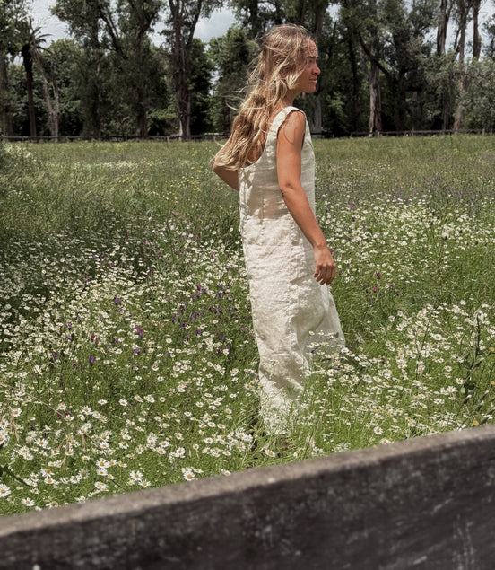 Isabel dress (crudo)