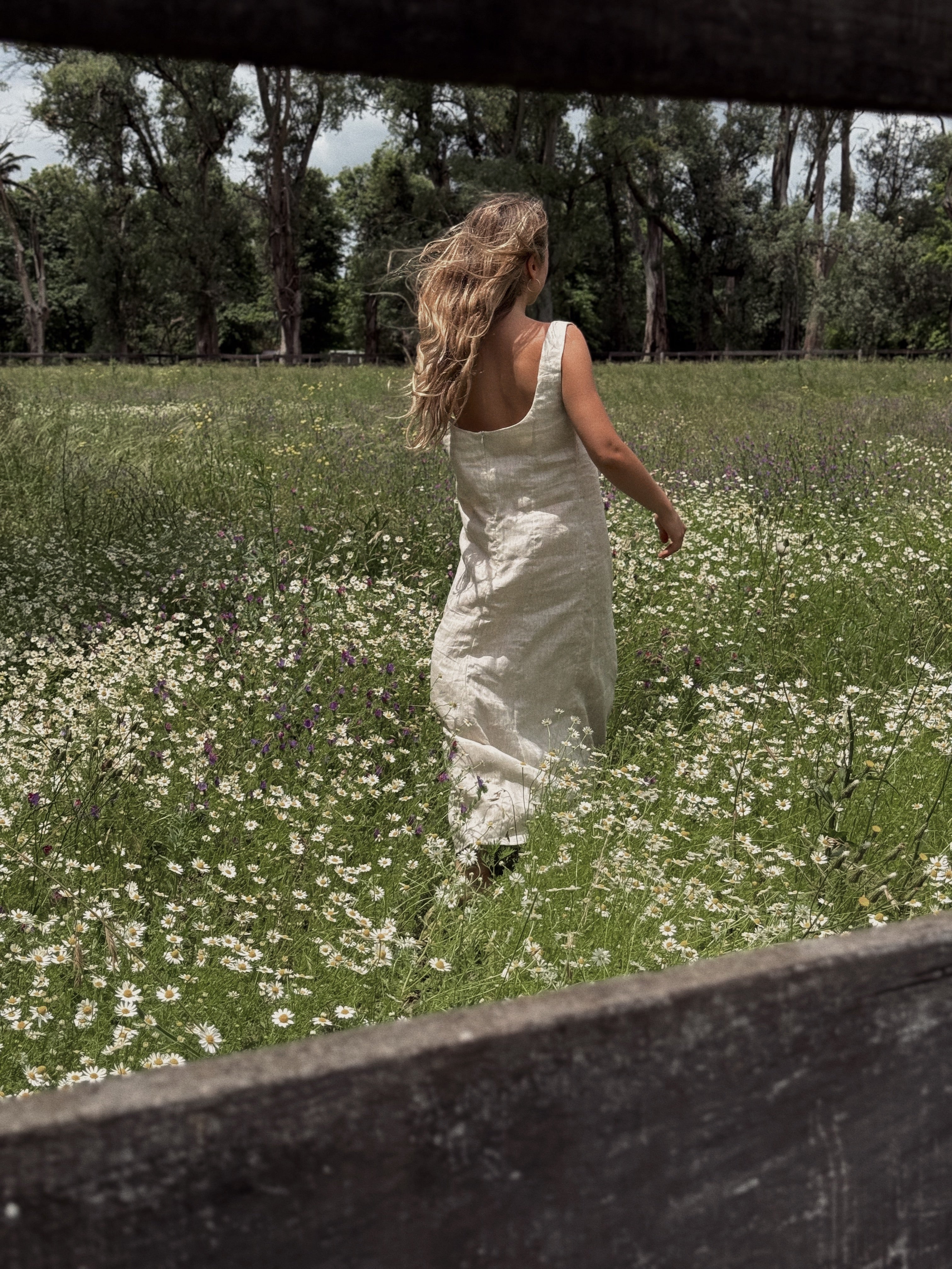 Isabel dress (crudo)